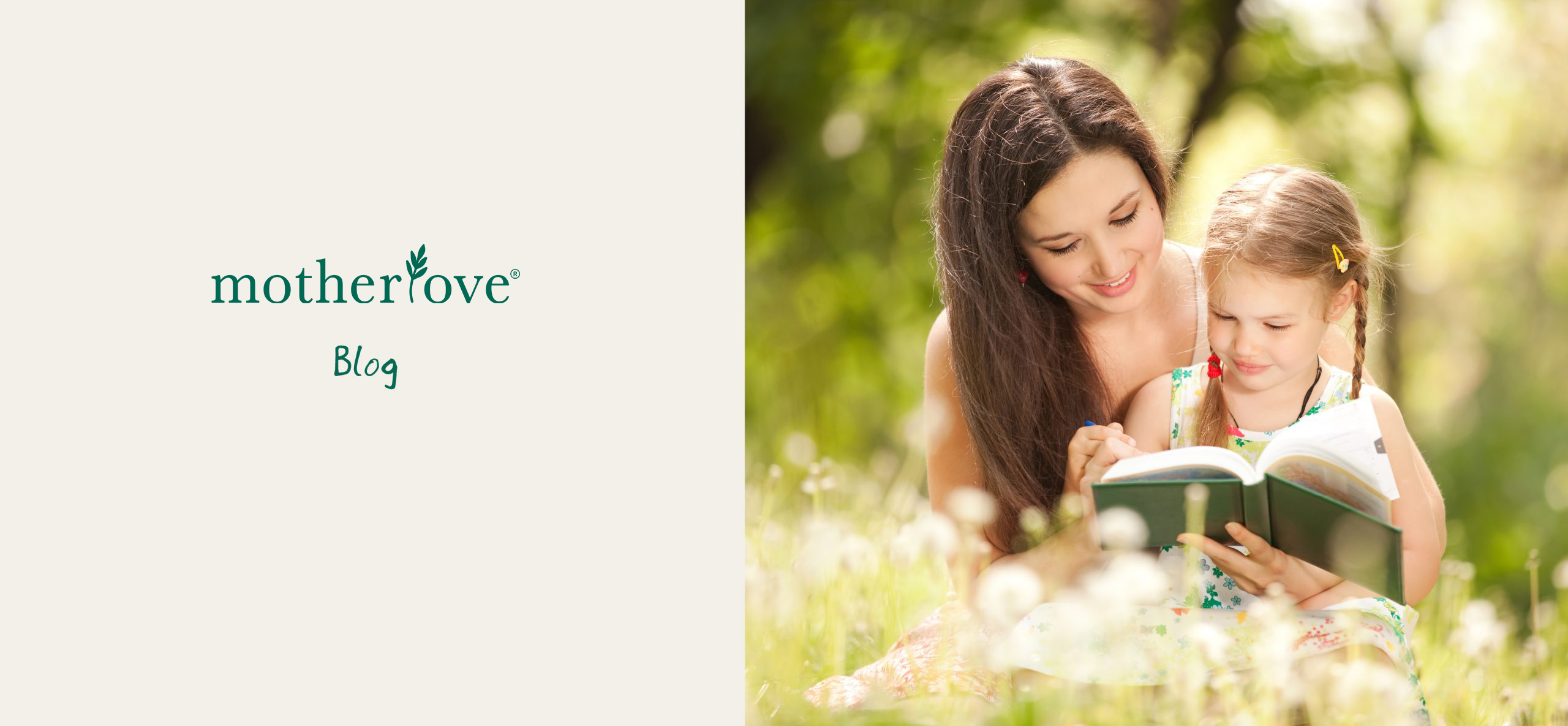 blog-banner-scaled